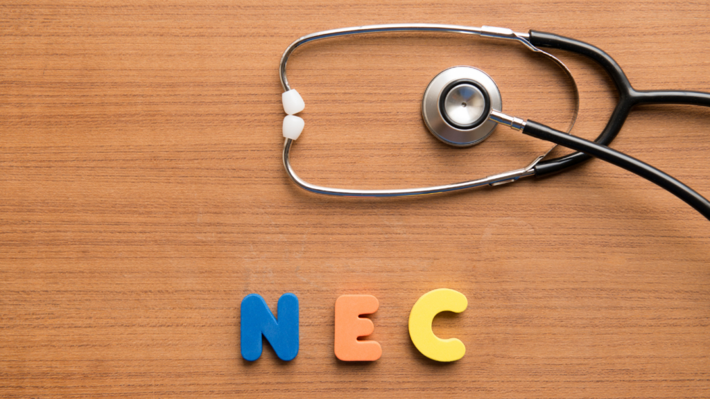 NEC spelled in colorful baby magnets